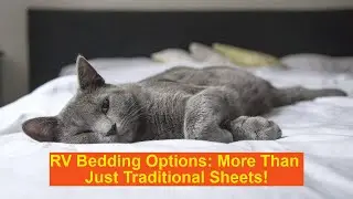 Multiple RV Bedding Solutions Explained!