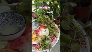 Harvesting perilla / shiso leaf #lifestyle #harvest #calming #harmony #peaceful