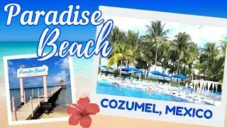 Paradise Beach Cozumel Mexico | All-Inclusive Package | Disney Dream Cruise Day 4