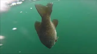 2018 Fishing Season