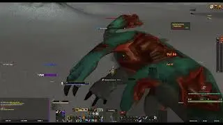 [13] Выброшенные на берег | Темные берега (ID: 3524) &mdash; Turtle Wow Quest Database