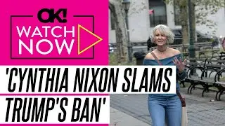 'SATC' Star Cynthia Nixon Blasts President Donald Trump's 'Inhumane' Executive Order Banning Gender-