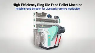 Feed Pellet Machine & Complete Feed Pellet Production Line | Efficient Animal Feed Solutions