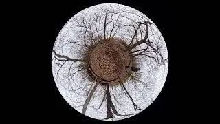 Charles River Abattoir, Jan 2026 #7 (360-degree FRITTER) 4K