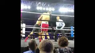 Ryan Schwartzberg vs Ryan Umberger TKO finish round 2