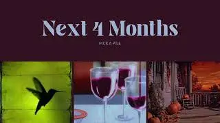 Next 4 Months | PICKAPILE 