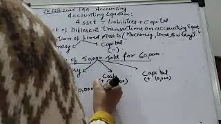 Impact of different transactions on accounting equation 