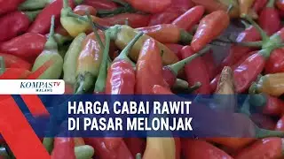 Harga Cabai Rawit Melonjak Tembus Rp 80 Ribu
