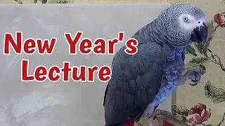 Einstein Parrot's New Year's Lecture
