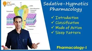 Sedative and Hypnotics Pharmacology (part 1): Classification, Mode of Action and REM & NREM Sleep