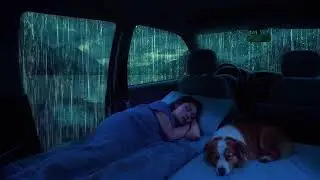 Fall Asleep Fast with Heavy Rain & Thunder in Car | 3H ASMR