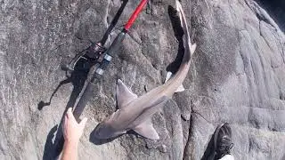 Shore Fishing Rhode Island For Stripers, Bluefish and Trash Fish