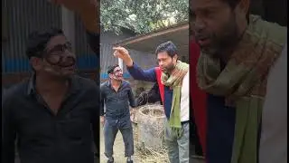 গরু কথা বলে 