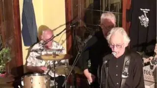 Steve Gibbon Band