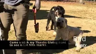 Bad doggy while metal detecting she gets nippy Dog bites detectorist.