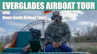 Down South Airboat Tours | Everglades Scenery