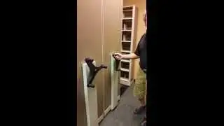 Sophisticated Mobile Shelving For Sale