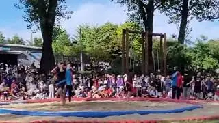 2024 찾아가는 전통씨름 (일반여자부결승전)증평인삼골축제#웃음짓는씨름