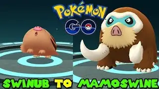 Evolving SWINUB TO MAMOSWINE IN POKEMON GO - SWINUB COMMUNITY DAY