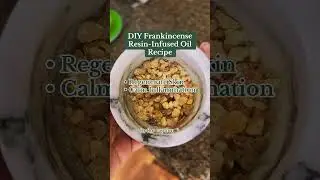 DIY Frankincense Infused Oil (in the comments) 🫶🏼 #herbalremedies #diyskincare