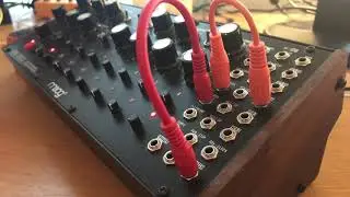 Moog DFAM orange fuzz beat