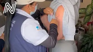 Contin&uacute;an brigadas de vacunaci&oacute;n contra el sarampi&oacute;n en diversos municipios de Jalisco | JN