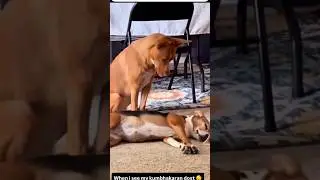 ঘুমাতে ঘুমাতে মরে গেল নাকি? 😂🤣 #shorts #funny #funnyvideo