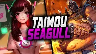 Taimou Insane ROADHOG AND SEAGULL Pro DVA! Best Duo? [ OVERWATCH SEASON 13 TOP 500 ]