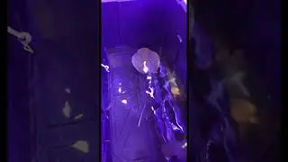 САМЫЙ РЕДКИЙ В МИРЕ СКАТ Ника Бинго!!! 😱 #шорты #скат