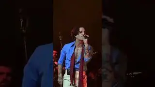 Tango | Damiano David (live)