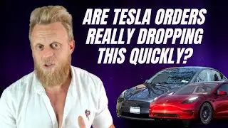 Analysts say Tesla's orders are going down in many markets