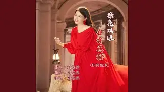 擦亮双眼看清真相（DJ阿能版）