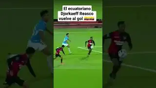 Tremendo golazo del ecuatoriano Djorkaeff Reasco que vuelve al gol con Newell's sudamericana 😱😱🇪🇨🇪🇨