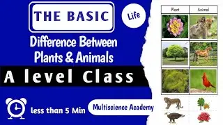 Differences Between Plants and Animals| Multiscience Academy