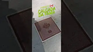 CAL&Ccedil;ADA DA FAMA #fama