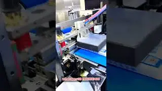pouch frozen dumplings packing machine#dumplings #packingmachine #frozenfood
