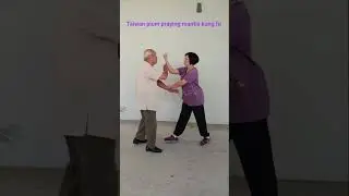 How to use Taiwan plum praying mantis kung fu 38#shorts #taiwan #kungfu #mantis