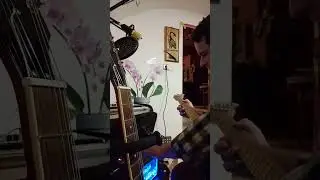 Squire Telecaster &mdash; Hughes&Kettner, Marshall, Univibe, Flamma, Joyo, #guitarmusic Revoltage