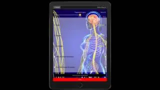 Genius Insight App - Powerful Functional Zones