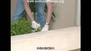 Opalocka drug  Bust 1990s
