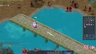 Old School Conquer Online - Twin City Archer Farming 2025