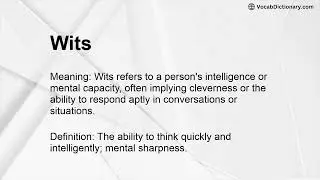 Wits Meaning
