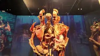 Mini Vlog - A trip to the Franklin Institute