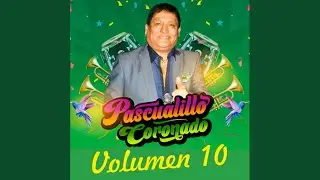Llanto y Alcohol