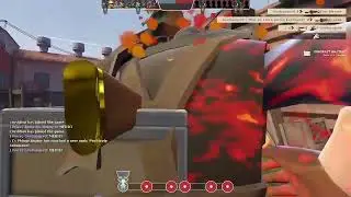 Average Crusaders Crossbow Medic