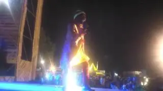 Alpha Blondy Live Reggae Lake Amsterdam 27-8-2016 ( Full Concert )