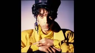 Prince - What Did I Do?