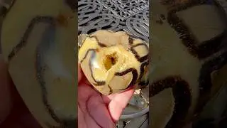 Septarian ❤️&rsquo;s just added! #crystals #gemstone #nature #heart #love #healing #rock #gift #chakras