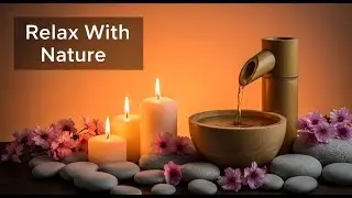 Morning Nature Zen Ambience Bamboo Fountain and Candle Glow for Deep Meditation and Peaceful Sleep