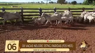 LOTE 06 - Leil&atilde;o Digital da LF Leil&otilde;es.
